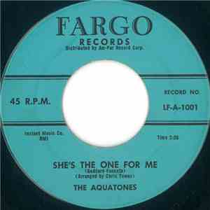 The Aquatones - She's The One For Me