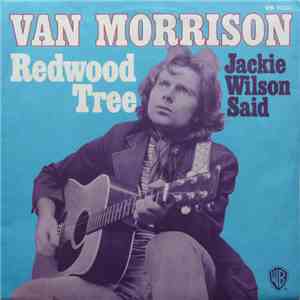 Van Morrison - Redwood Tree