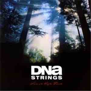 DNA Strings - Live In Cape Town