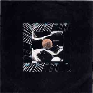Matthew Nicholson / The Reactions - split 7"