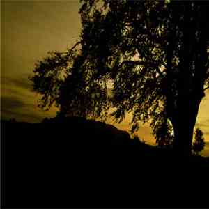The Blue Tree - The Blue Tree