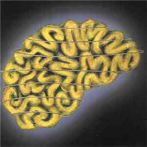 Various - Brain In The Wire - Disc B