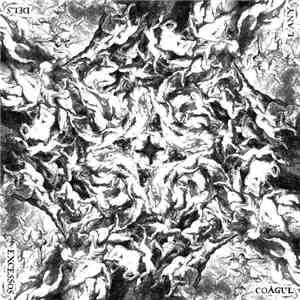 Coàgul - L'Any Dels Excessos