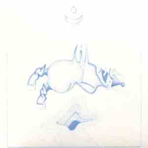 Devendra Banhart - Ape In Pink Marble