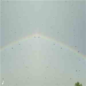 river water analysis group - 5-29-16 Mycosocial
