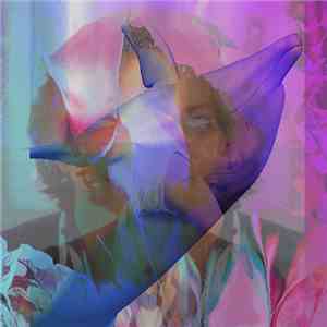 C V L T S - Micro/ Maxi Single