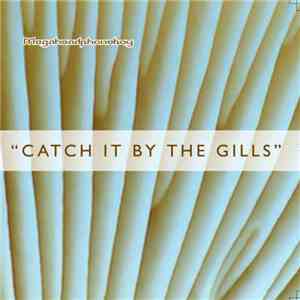 Megaheadphoneboy - Catch It By The Gills