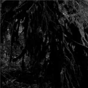 Gamla Skogar - Gamla Skogar
