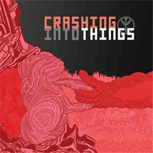 Crashing Into Things - S/T