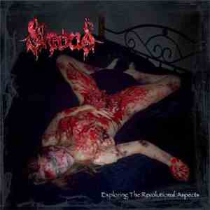 Shroud  - Exploring The Revolutional Aspects