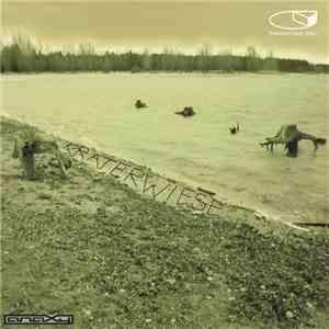 Anaxy - Kraterwiese