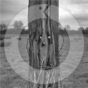 Coleclough And Potter - Live At Oto