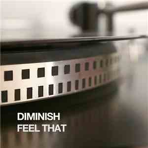 Diminish - Feel That