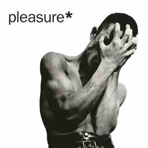 Pleasure  - Pain