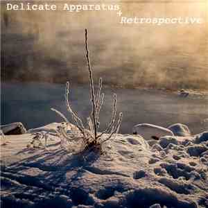 Delicate Apparatus - Retrospective