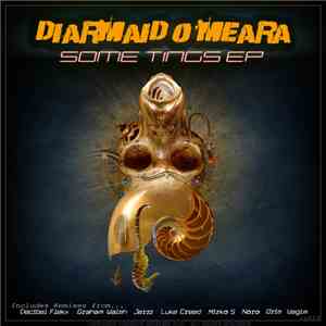 Diarmaid O'Meara - Some Tings EP