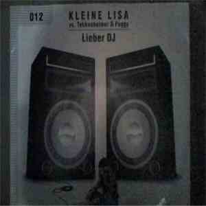 Kleine Lisa vs. Tekknoheimer & Foggy - Lieber DJ