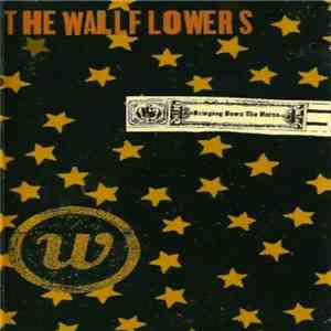 The Wallflowers - Bringing Down The Horse