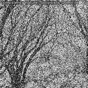 Consistency Nature - Solipsistic Domicile