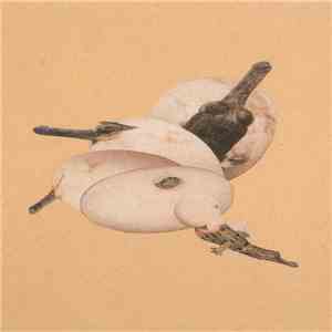 Grand Banks - QB4: 1877​-​1896