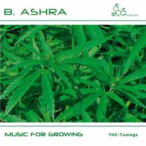 B.Ashra - Music For Growing