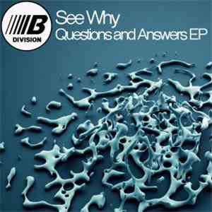 See Why - Questions And Answers EP
