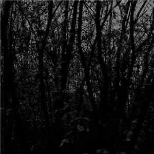 Unfold - Cosmogon
