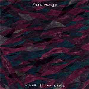 Field Mouse - Hold Still Life