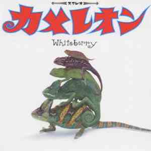ホワイトベリー - カメレオン