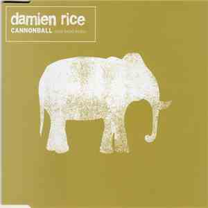 Damien Rice - Cannonball