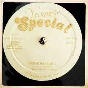 Dennis Brown / Aswad - Promised Land