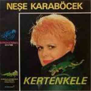 Neşe Karaböcek - Kertenkele
