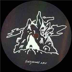 Various - SALT002