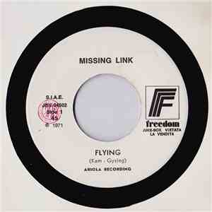 Missing Link - Flying