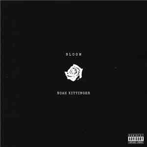 Noah Kittinger - Bloom