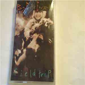 Big Fish Ensemble - Field Trip