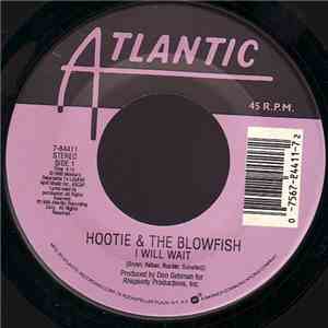 Hootie & The Blowfish - I Will Wait