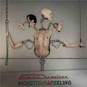 Secta Chameleon - More Than A Feeling