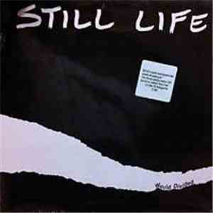 Still Life  - World Divided
