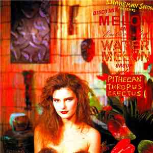 Snakeman Show Presents Melon And Exotic Sounds Of Water Melon Group - Pithecan Thropus Erectus