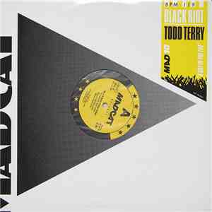 Black Riot / Todd Terry - A Day In The Life