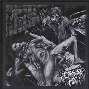 Carnivore Mind / I Shit On Your Face - Untitled / Recycling Regurgitated Rectal Remnants