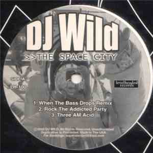 DJ Wild  - The Space City