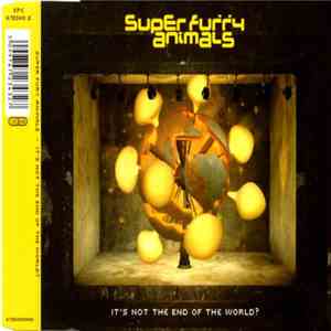 Super Furry Animals - It's Not The End Of The World?