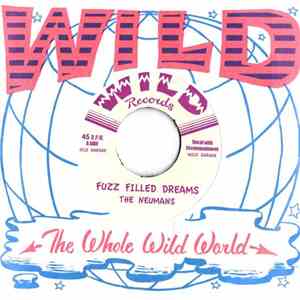 The Neumans  - Fuzz Filled Dreams