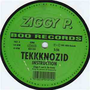 Ziggy P. - Tekkknozid