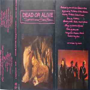 Dead Or Alive - Sophisticated Boom Boom