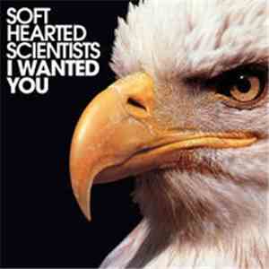 Soft Hearted Scientists - I Wanted You