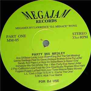 Various - Party Mix Medley / "Back In Time" Megamix