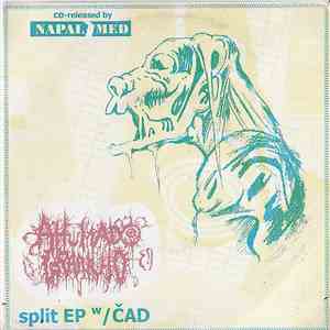 Ahumado Granujo / Čad - Split EP